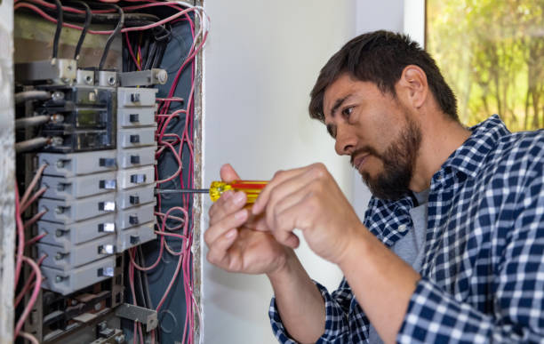 Best Electrician for Home Renovation  in Frederickson, WA